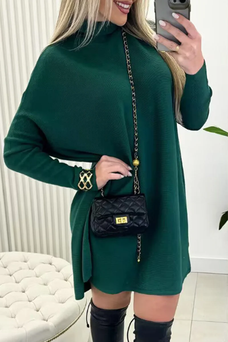 Casual Daily Solid Color Turtleneck Sweaters(3 Colors) - Kaedas