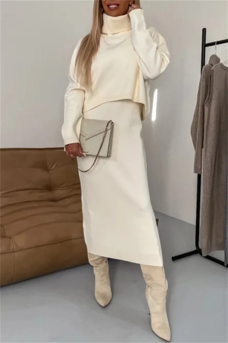 Casual Basic Turtleneck Long Sleeve Two Pieces(6 Colors) - Kaedas