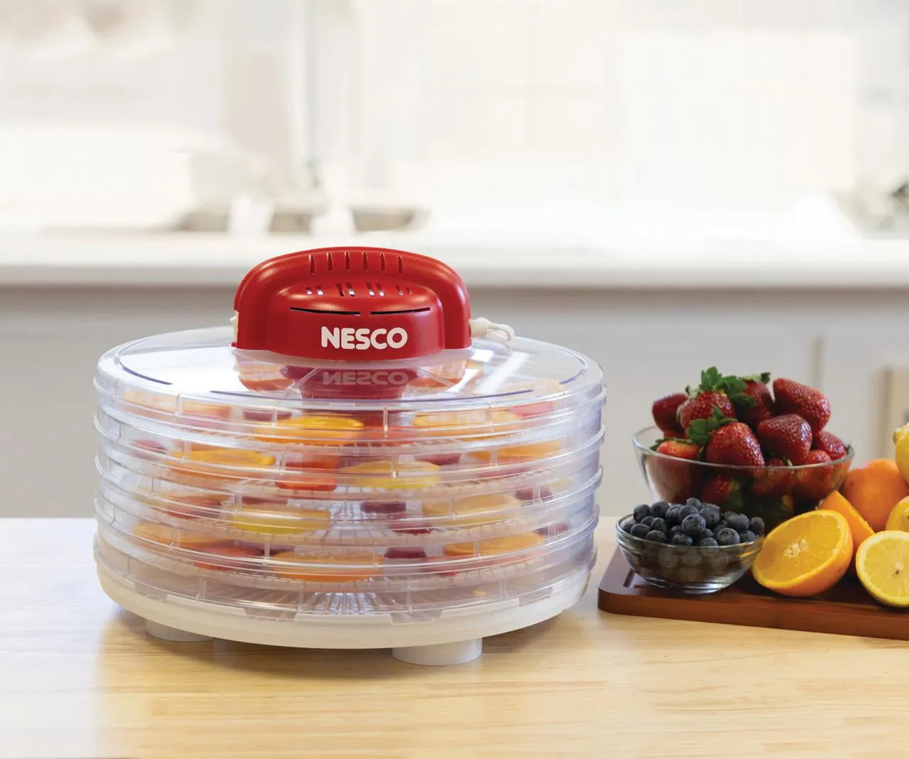 NESCO Fixed Temperature Dehydrator 4 Trays - Kaedas