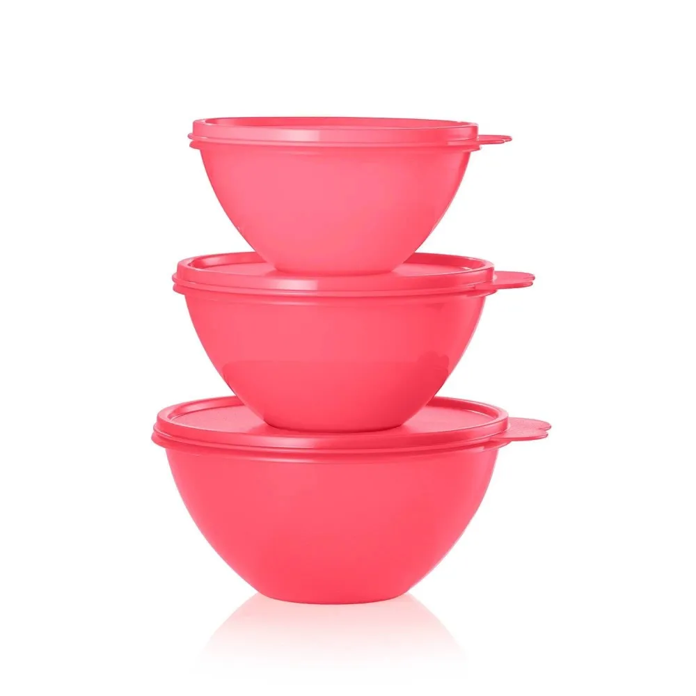 6pc Wonderlier Bowl Food Storage Set - Pink (See Description) - Kaedas