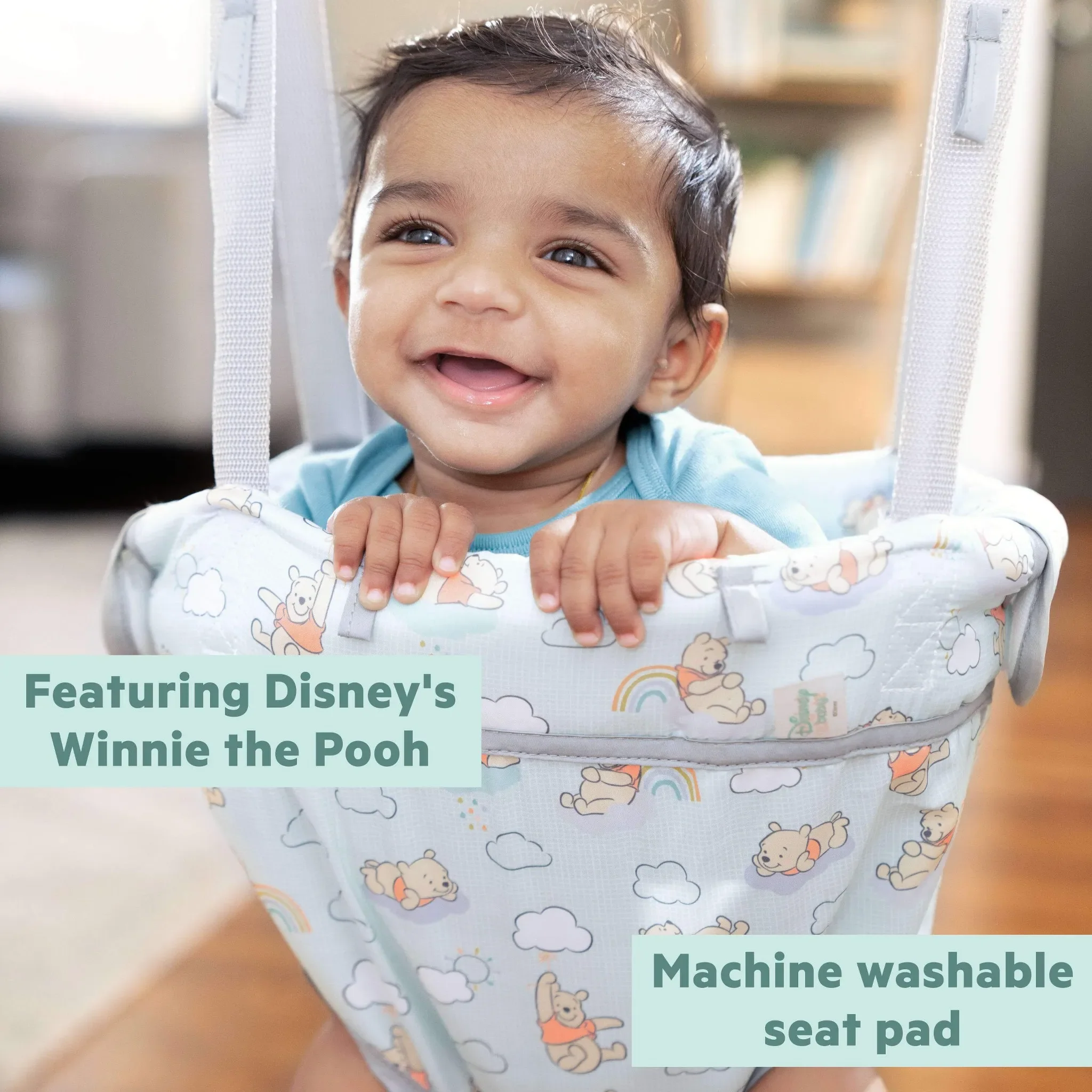 Disney Baby Winnie the Pooh Baby Door Jumper and Activity Center - Kaedas
