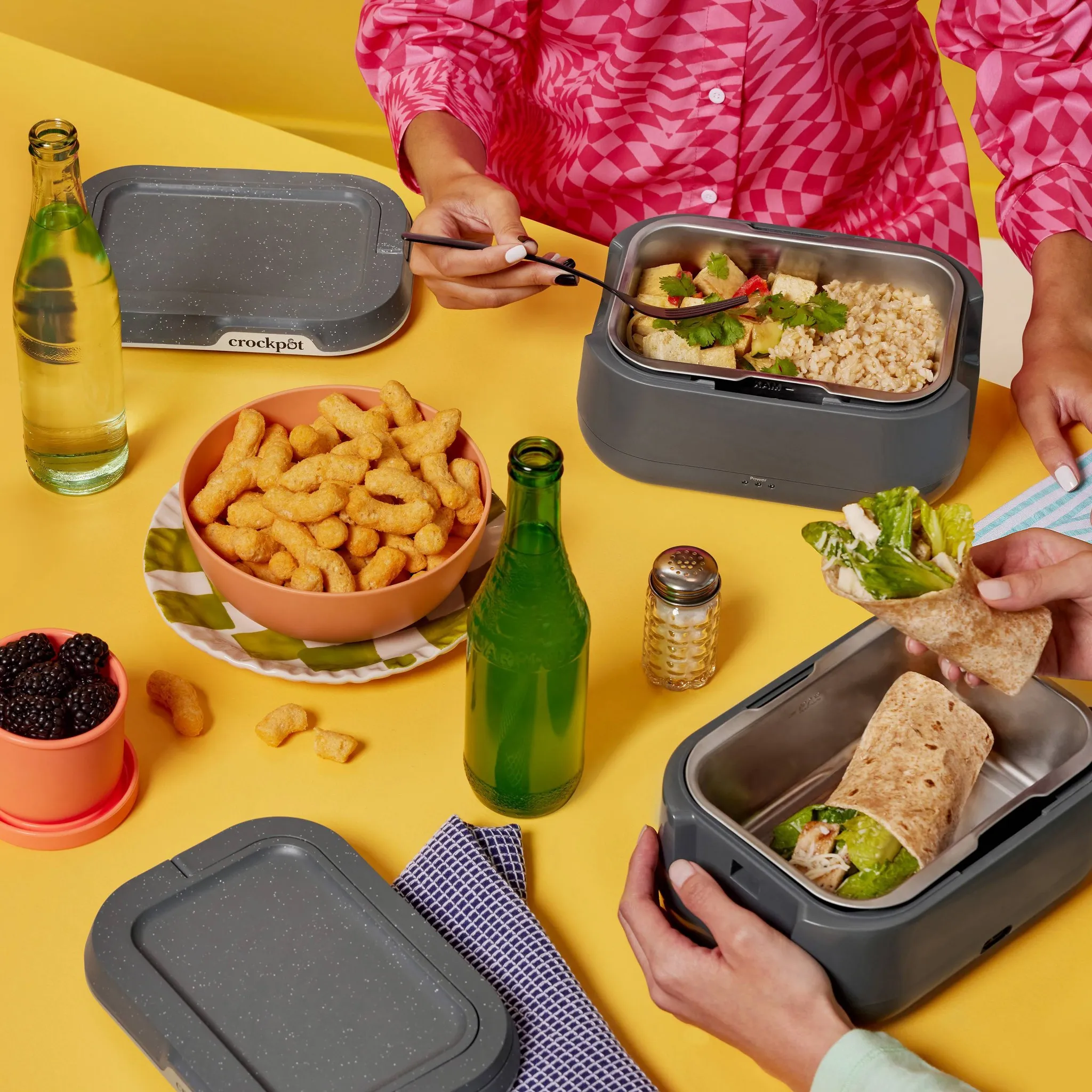 GO Portable Food Warmer - Electric Lunch Box with Detachable Cord - Kaedas