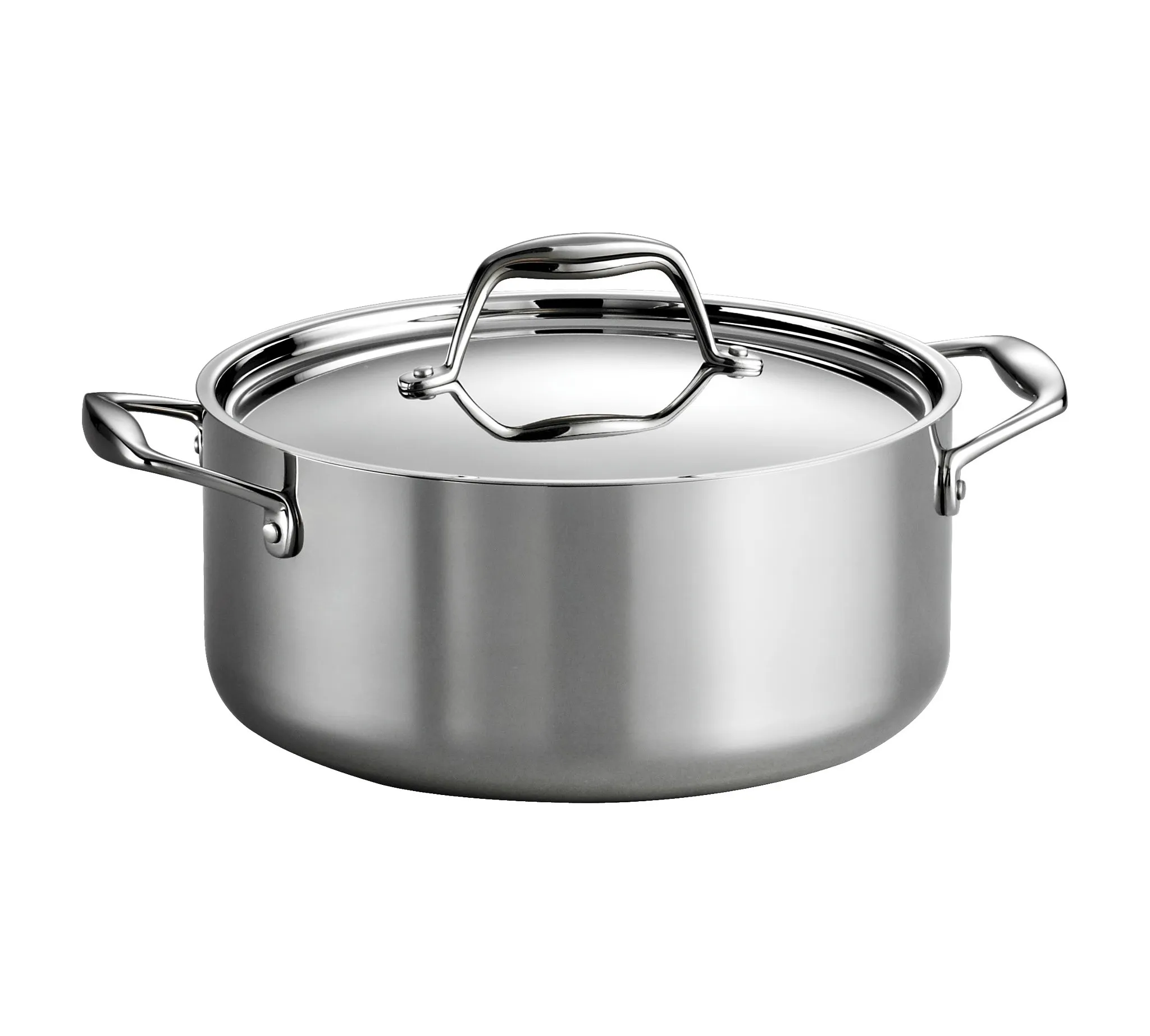 Induction-Ready Stainless Steel 5 QT. Covered Dutch Oven - Kaedas