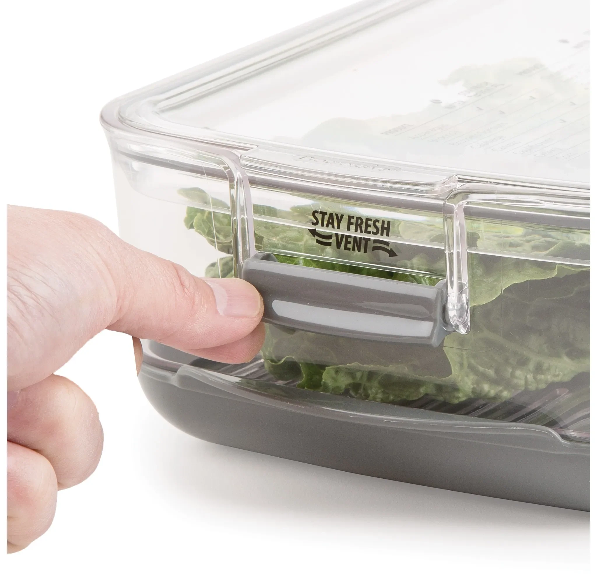 3qt Produce Prokeeper: Fresh Produce & Vegetable Keeper - Kaedas