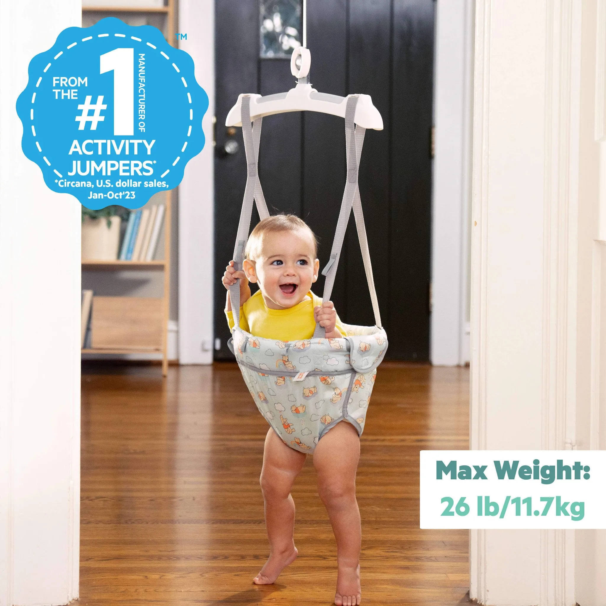 Disney Baby Winnie the Pooh Baby Door Jumper and Activity Center - Kaedas