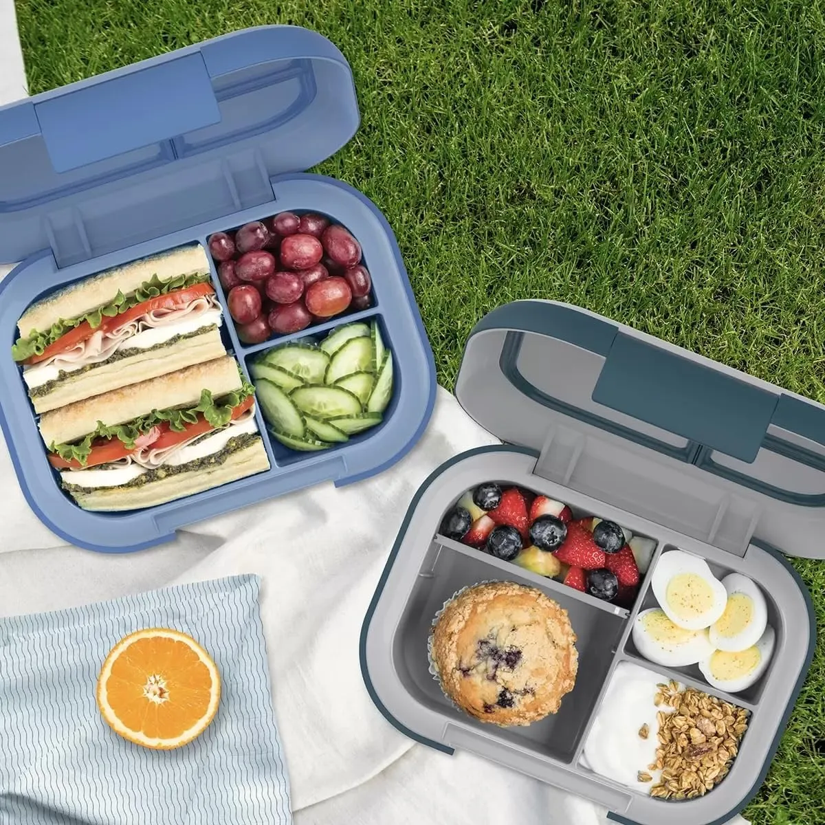 XL Lunch Storage Containers - 2-Pack - Kaedas