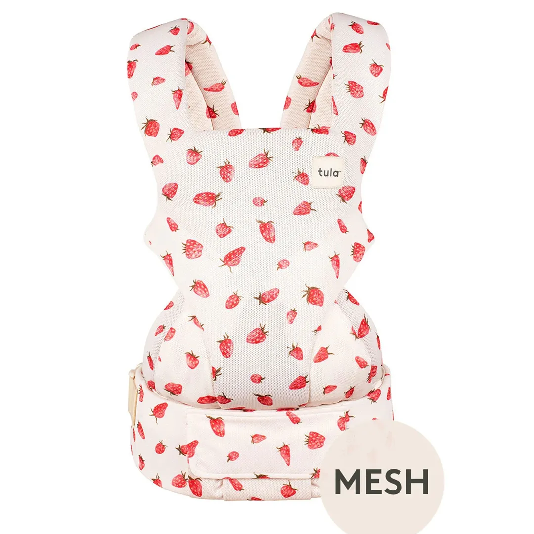 Strawberry Mesh Explore Carrier - Kaedas