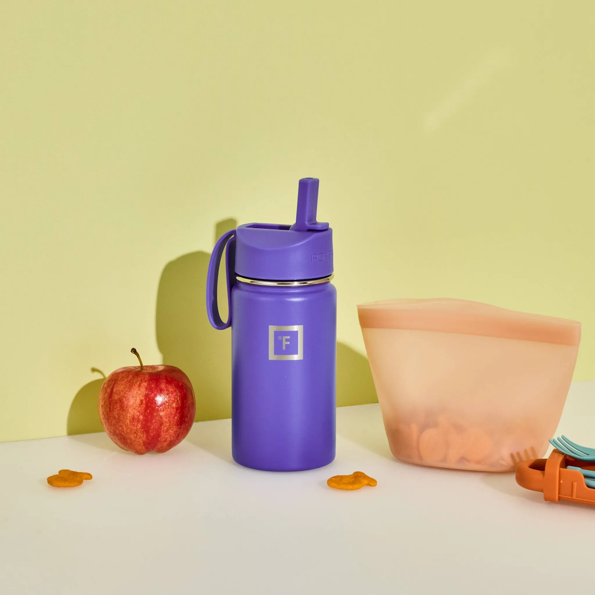 IRON FLASK 14oz Stainless Steel Water Bottle with Plastic Lid Grape Purple: Insulated Kids & Toddler Drinkware - Kaedas
