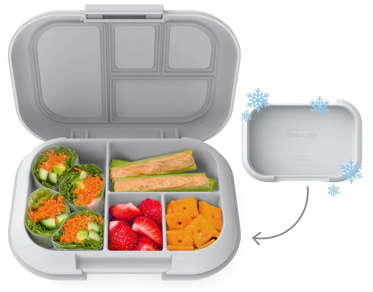 Kids Lunch Box Containers - 3 Pack - Kaedas