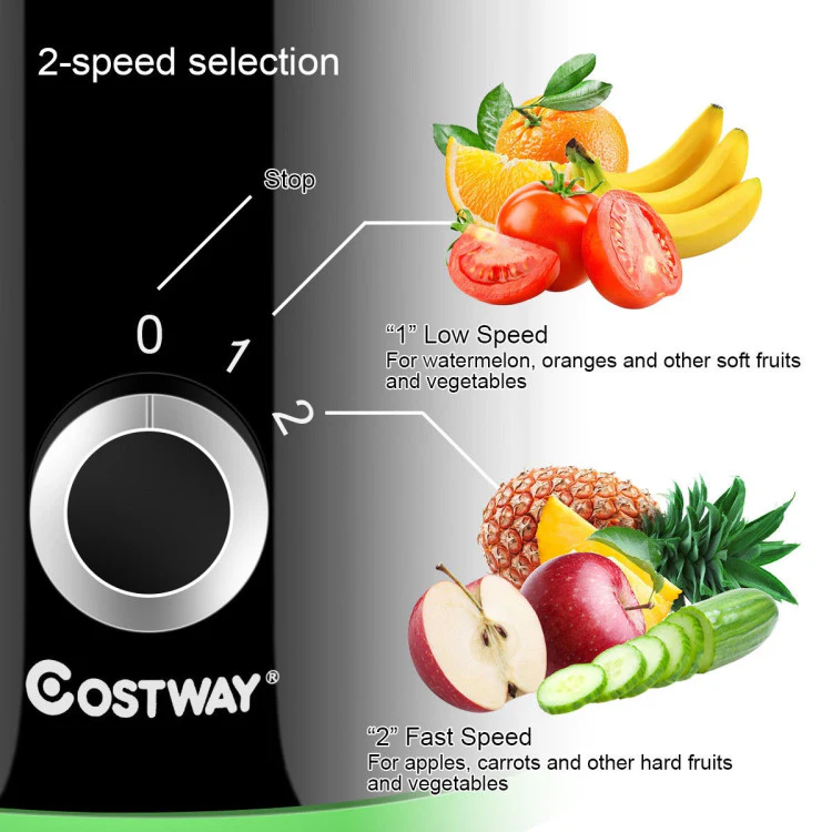 2 Speed Wide Mouth Fruit and Vegetable Centrifugal Electric Juicer - Kaedas