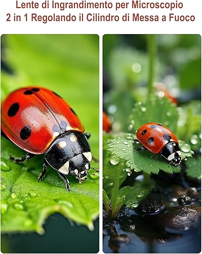 Mini Mikroskop für Kinder, OUTACT Taschenmikroskop, Microscope mit 8 LEDs, 1000X Digitalmikroskop mit 600mAh Akku, 2 Megapixel, tragbare USB-Mikroskopkamera, Kinder Mikroskop mit Foto und Video - Kaedas
