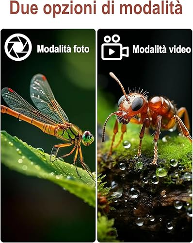 Mini Mikroskop für Kinder, OUTACT Taschenmikroskop, Microscope mit 8 LEDs, 1000X Digitalmikroskop mit 600mAh Akku, 2 Megapixel, tragbare USB-Mikroskopkamera, Kinder Mikroskop mit Foto und Video - Kaedas