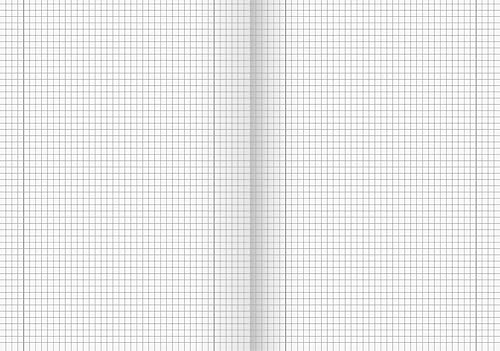 Brunnen 104492511 Schulheft (A4, 16 Blatt, liniert, mit Rand, Lineatur 25) 10 Stück - Kaedas