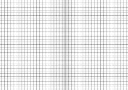 Brunnen 104492511 Schulheft (A4, 16 Blatt, liniert, mit Rand, Lineatur 25) 10 Stück - Kaedas